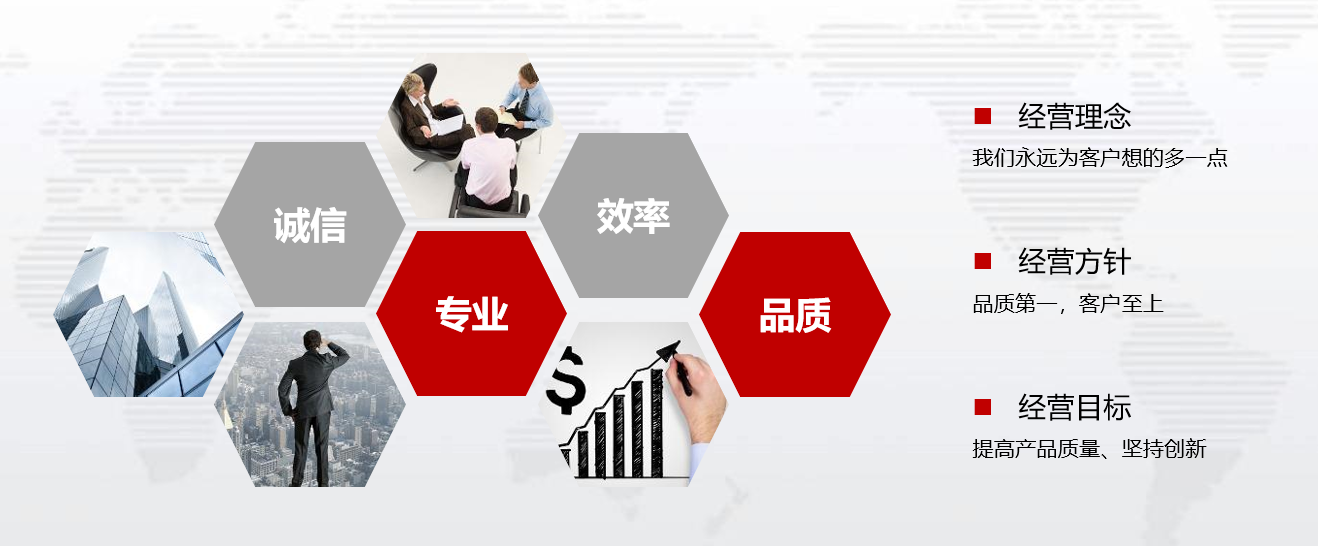 企業(yè)愿景(圖1)